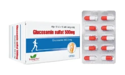 Glucosamin sulfat  TT 500 mg Hộp/10 Vỉ x 10 Viên
