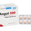 Angut 300 (Allopurinol ) Hộp/10 vỉ x 10 viên     TY