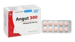 Angut 300 (Allopurinol ) Hộp/10 vỉ x 10 viên     TY