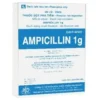 Ampicillin 1gr Hộp/10 Lọ Bột Pha Tiêm
