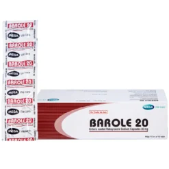 Barole 20 Hộp/100 viên