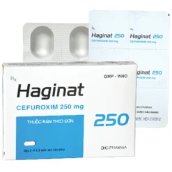 Haginat 250 DHG Hộp 2 vỉ x 5 viên          TY