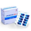 Lincomycin 500ng Domesco Hộp/ 20 vỉ x 10 viên nang