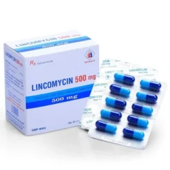 Lincomycin 500Mg Armephaco Hộp/ 10 vỉ x 10 viên nang