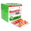 Maxxviton Plus Hộp/10 Vỉ x 10 viên