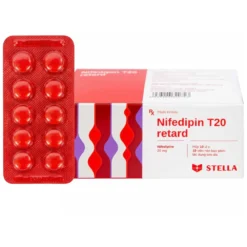 NIFEDIPIN T20 retard(H/100v)-VN      TY