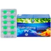 Nhiệt Miệng PV Hộp 5 Vỉ x 10 Viên BD
