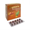 Silymarin Bcomplex Tradiphar (Nâu )Hộp/10 Vỉ x 10 Viên Nang