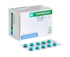 Terpinzoat Hộp/10 Vỉ x 10 Viên BĐ