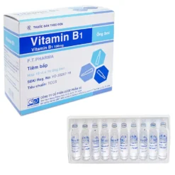 Vitamin B1 100mg/1ml VPhúc Hộp/100 Ống