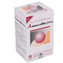 Amoxicilin 250mg Vidipha Hộp/ 10 vỉ x 10 viên nang