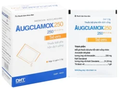Augclamox 250 Hộp/12 gói x 1.5g