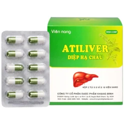 Viên Diệp Hạ Châu PYLANTIN Hộp/5 vỉ x 10 viên